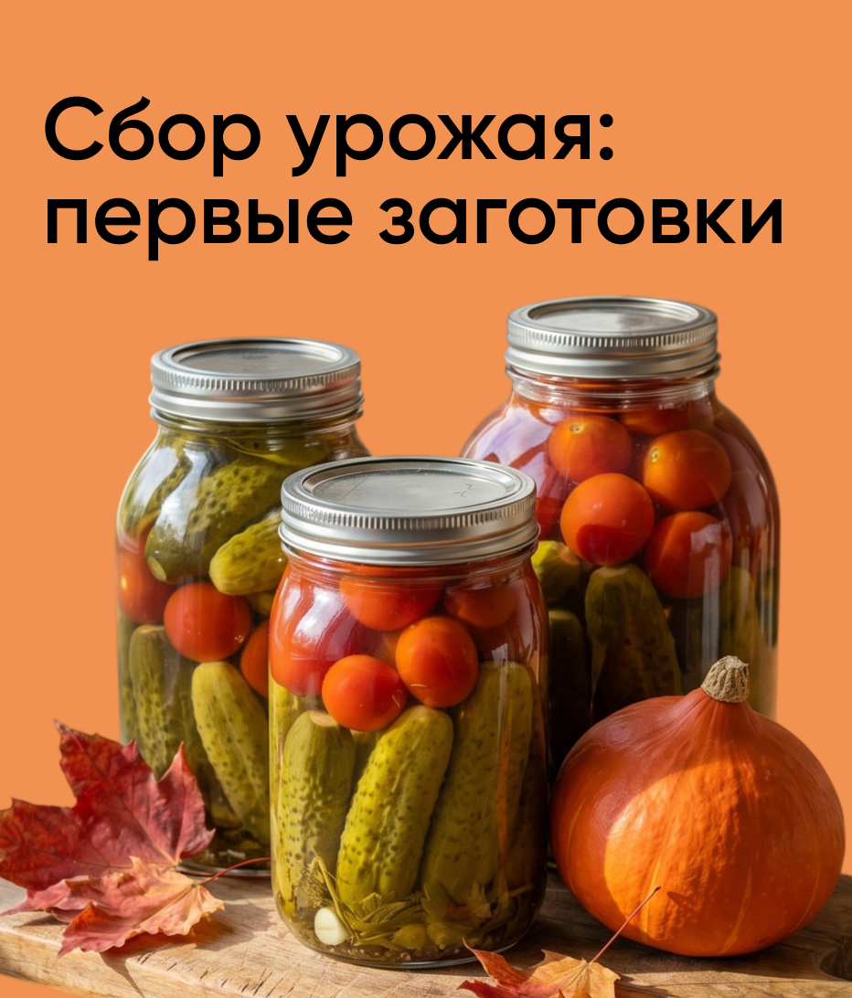 Сбор урожая: первые заготовки